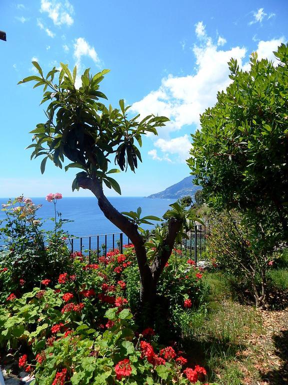 Amalfi View Cottage Luaran gambar